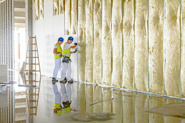 Best Commercial Insulation in Hot Springs, SD